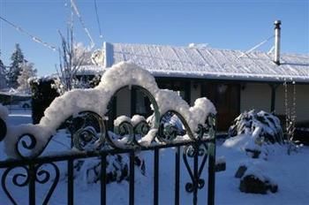 Jack In The Green Garden Rooms Ханмер Спрингс Екстериор снимка